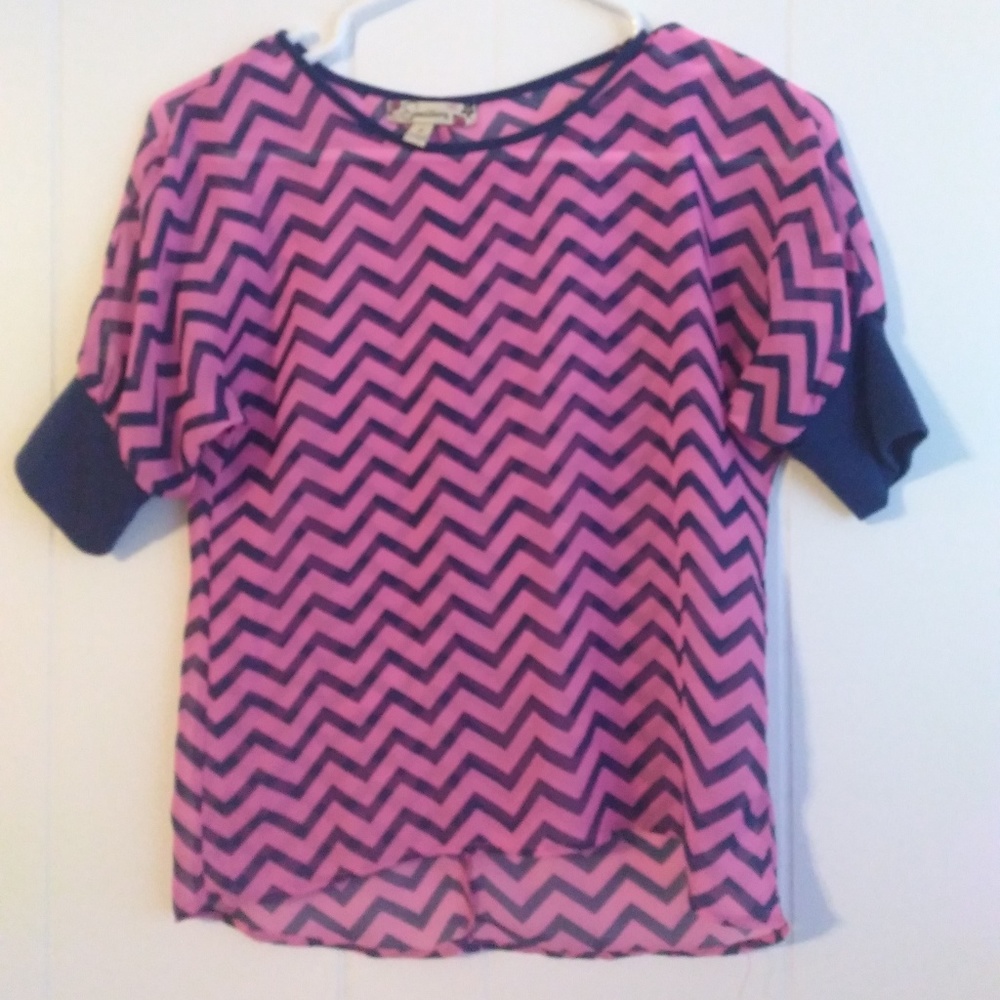 Pink and Blue Striped Blouse